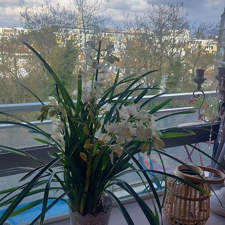 בורדו Chambre Chez L'Habitante Avec Salle De Bain Et Cuisine Communes - Presence D'Un Chat מראה חיצוני תמונה